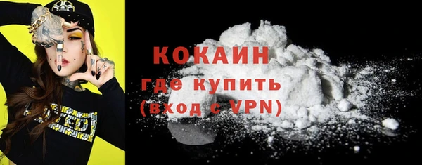 spice Богородицк