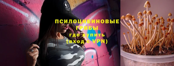 spice Богородицк