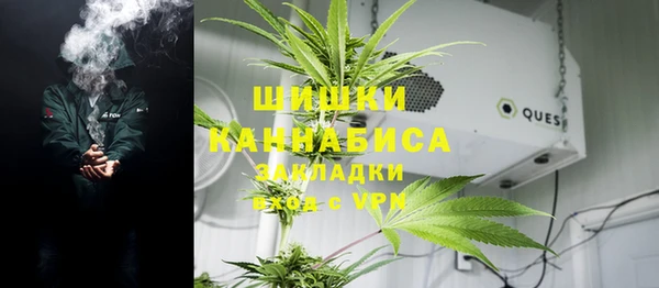 тгк Богданович