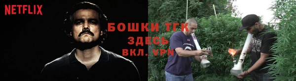 тгк Богданович