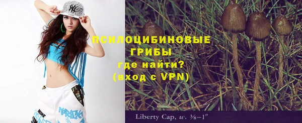 гидропоника Белоозёрский