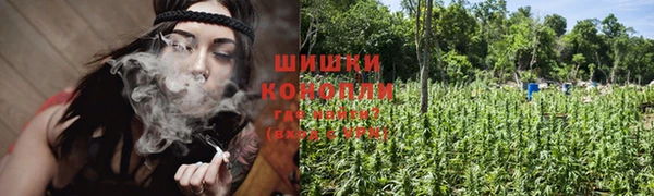 тгк Богданович