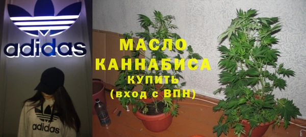 spice Богородицк
