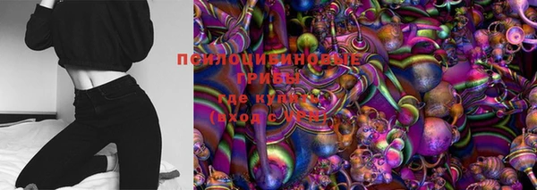 spice Богородицк